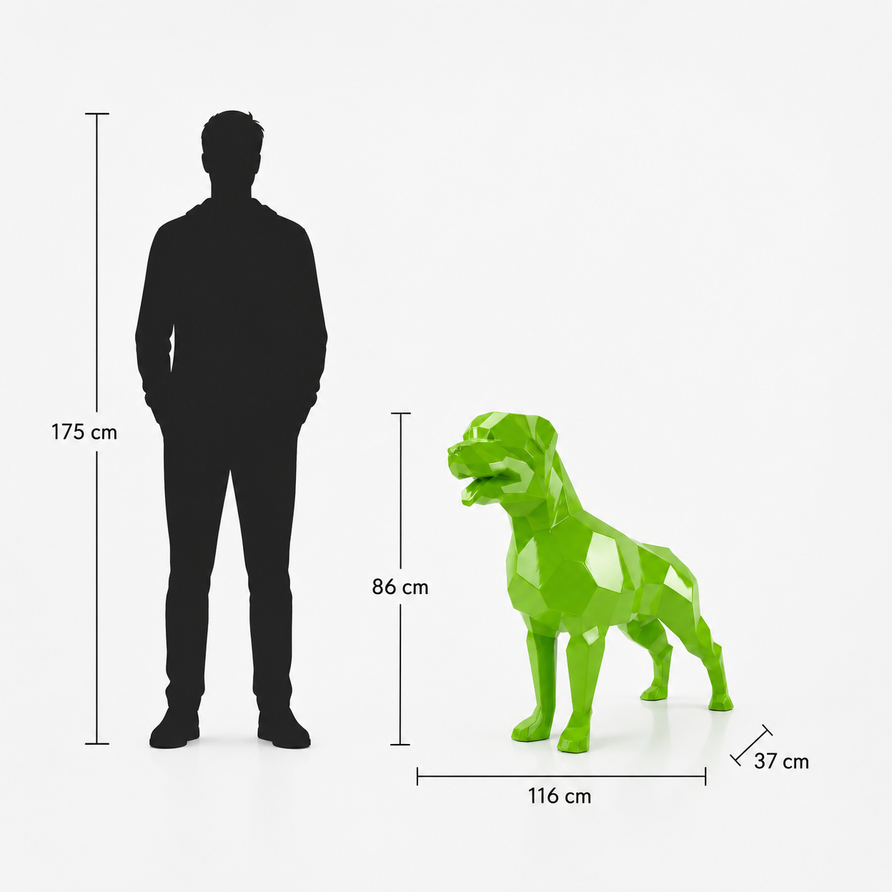 This visual presents the Large Faceted Labrador Dog Sculpture in real scale, compared to a 175 cm human silhouette. With a height of 86 cm, this dog sculpture creates a warm, elegant, and contemporary presence. Its faceted design, inspired by polygonal art and origami style, highlights the Labrador’s gentle and balanced character, making it an ideal decorative statement piece for villas, gardens, terraces, reception halls, showrooms, offices, and high-end decorative spaces.